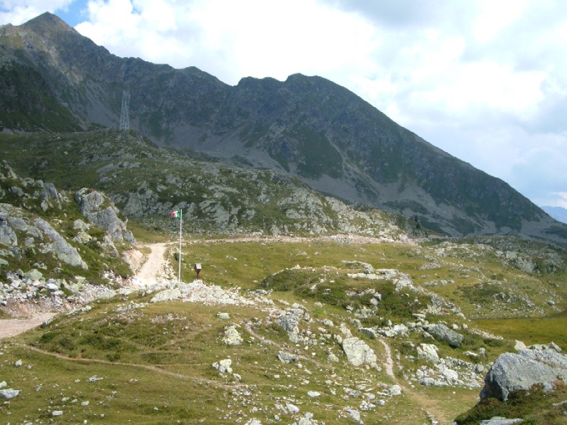 Ortotteri delle Orobie valtellinesi (Sondrio)